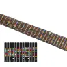 Gitarren-Griffbrett-Notizen-Karte – Aufkleber