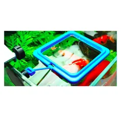 Aquarium fish food feederAquarium