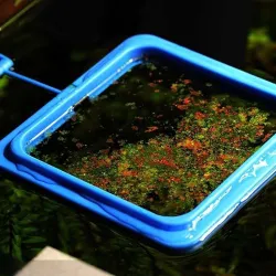 Futterspender für Aquarienfische