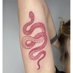 Temporäres Tattoo - Aufkleber - rote Schlange