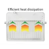 RGB-LED-Flutlicht – Außenreflektor – Fernbedienung – wasserdicht – 220 V/110 V – 20 W – 30 W – 50 W – 100 W