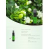 Gardenia-Duft – Körperspray – Parfüm – 10 ml