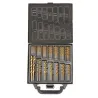 15–10 mm – HSS-Titanbeschichtete Spiralbohrer – 99-teiliges Set