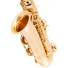 Professionelles Saxophon - Tonart Es-Alt - mit Koffer/Zubehör
