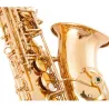 Professionelles Saxophon - Tonart Es-Alt - mit Koffer/Zubehör