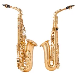 Professionelles Saxophon - Tonart Es-Alt - mit Koffer/Zubehör