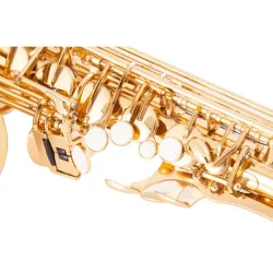 Professionelles Saxophon - Tonart Es-Alt - mit Koffer/Zubehör
