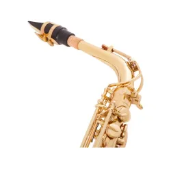 Professionelles Saxophon - Tonart Es-Alt - mit Koffer/Zubehör