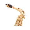 Professional saxophone - key-Eb Alto - with case / accessoriesSaxophones