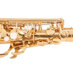Professionelles Saxophon - Tonart Es-Alt - mit Koffer/Zubehör
