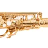 Professional saxophone - key-Eb Alto - with case / accessoriesSaxophones