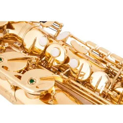 Professionelles Saxophon - Tonart Es-Alt - mit Koffer/Zubehör
