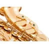 Professional saxophone - key-Eb Alto - with case / accessoriesSaxophones