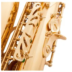 Professionelles Saxophon - Tonart Es-Alt - mit Koffer/Zubehör