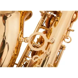 Professionelles Saxophon - Tonart Es-Alt - mit Koffer/Zubehör
