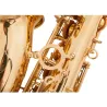 Professional saxophone - key-Eb Alto - with case / accessoriesSaxophones