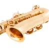 Professionelles Saxophon - Tonart Es-Alt - mit Koffer/Zubehör