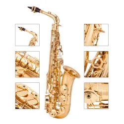 Professionelles Saxophon - Tonart Es-Alt - mit Koffer/Zubehör