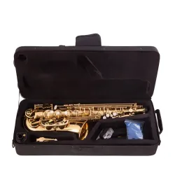 Professionelles Saxophon - Tonart Es-Alt - mit Koffer/Zubehör