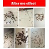 Effektiver Kakerlakenvernichter – Pulverköder – Insektizid – Schädlingsbekämpfung – 10 Stück