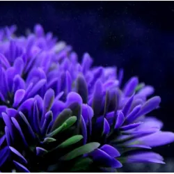 Artificial plastic plant - purple flower - aquarium decorationDecorations