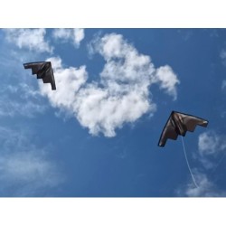 Stealth-Kampfflugzeug-Drachen
