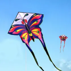 Großer Schmetterlingsdrachen – 150 cm