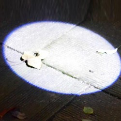 Rundmond Form Licht - Aluminiumlegierung - Mini LED Taschenlampe - Brenner