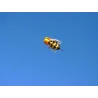 Colorful bee - nylon mite - 3 meterKites