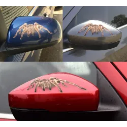 3D Spinne & Skorpion & Eidechse - Autoaufkleber - decal