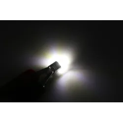 T10 W5W 3030 LED Glühbirne Auto Signal Lampe 2 Stück