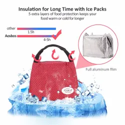 Portable Thermal Canvas Lunch Bag