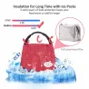 Portable Thermal Canvas Lunch Bag