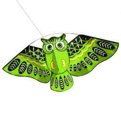 Colorful owl easy fly kite 110 * 50cmKites