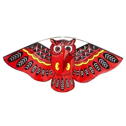 Colorful owl easy fly kite 110 * 50cmKites