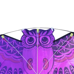 Bunte Eule leicht fliegen Kite 110 * 50cm