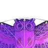 Colorful owl easy fly kite 110 * 50cmKites