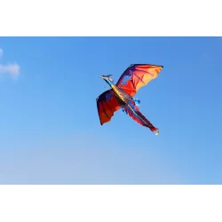 Colorful flying dragon - kite - 140 * 120cmKites