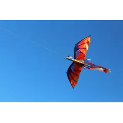 Colorful flying dragon - kite - 140 * 120cmKites