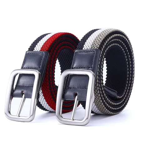 Elastic reversible woven canvas beltBelts