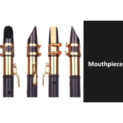 C / F tone mini saxophoneSaxophones