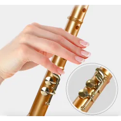 C / F tone mini saxophoneSaxophones