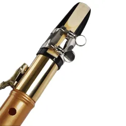 C / F tone mini saxophoneSaxophones