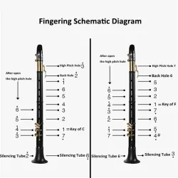 C / F tone mini saxophoneSaxophones