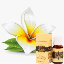 Fettverbrennung - Schlankheit Massageöl 10ml