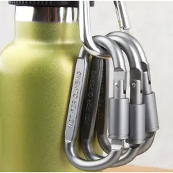 Aluminium Karabiner - D Typ Schnellhaken 6 Stück
