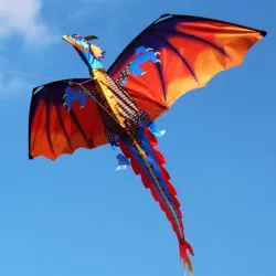 3D Drachen-Kit mit Schwanz & Linie 100m