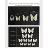 3D Schmetterling - Wandaufkleber mit Magnet 12 Stück