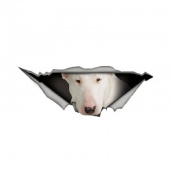 White Bull Terrier - Vinyl Auto Aufkleber - wasserdicht - 13 * 4,9cm