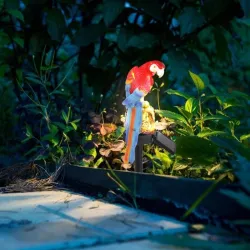 Solarbetriebene LED Papageien - Gartenlicht